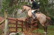 braes_074