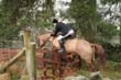 braes_075