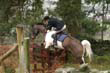 braes_076
