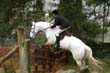 braes_077