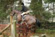 braes_078