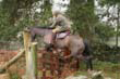 braes_079