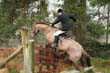 braes_081