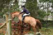 braes_085