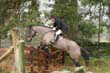 braes_086