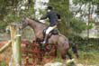 braes_087