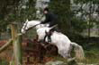 braes_088