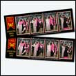 phoenixPB_0015