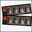phoenixPB_0078