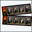 phoenixPB_0079
