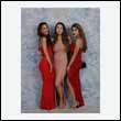 phoenix_0351
