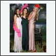 phoenix_0837