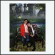 phoenix_1002