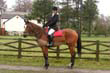braes_003