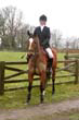 braes_006