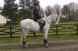 braes_007