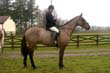 braes_035