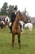 braes_038