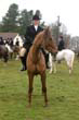 braes_039