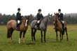 braes_040