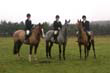 braes_041
