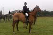 braes_044