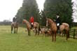 braes_049