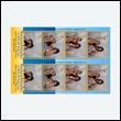 NEVILLEpb_0061